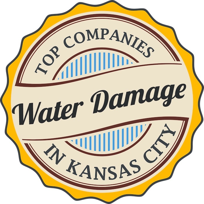 water damage restoration companies