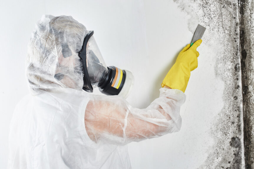 professional dressed in ppe to remove mold on wall