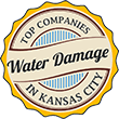 water damage restoration companies